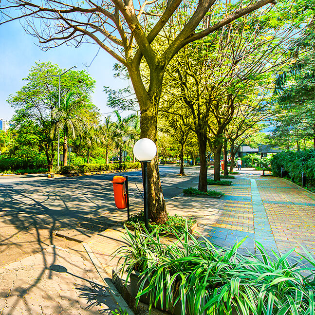 The future of green real estate: Net zero energy buildings and technological innovations