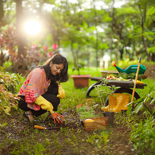 Loksatta-Urban Farming