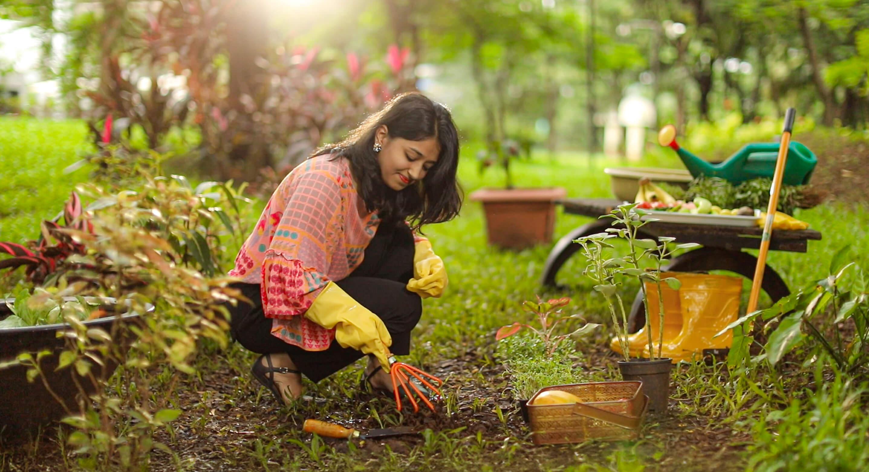 Loksatta-Urban Farming