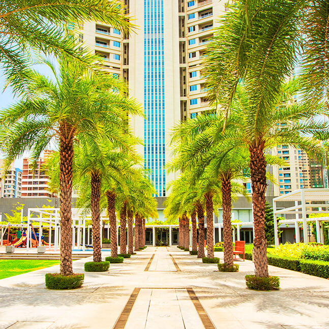 A Homebuyer’s Guide To Green Buildings